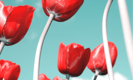 Playing to your natural strengths to succeed